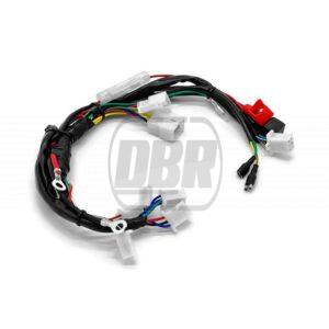 Wiring Loom - ZS190