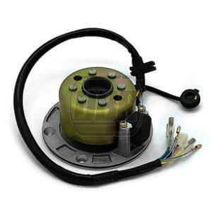 Stator Coil & Flywheel - ZS155
