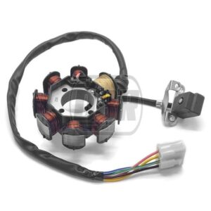 Stator Coil - 250cc - E/Start - ZS172FMM